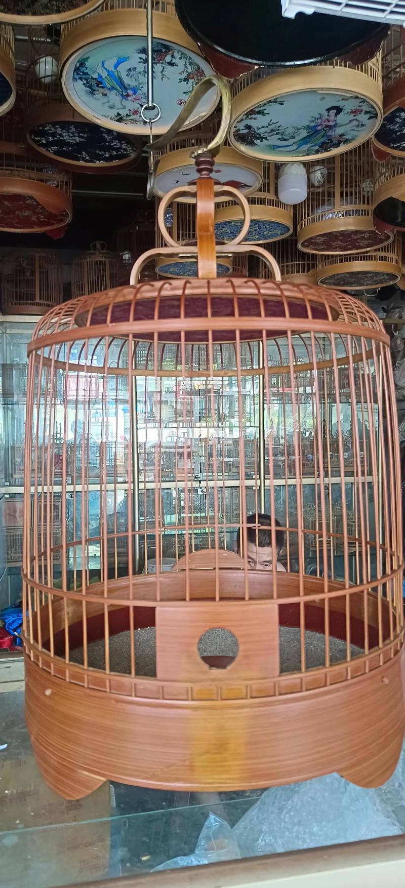 百灵鸟开挂框架缩略图