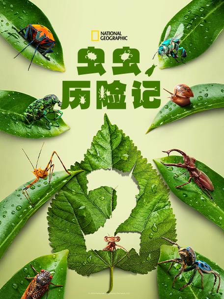 虫虫历险记普通话版