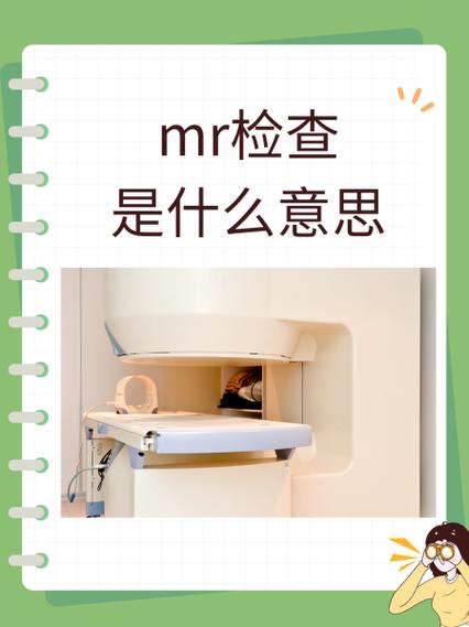 mr是男士还是女士