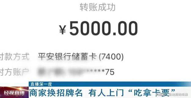 中国银行流水能发电子版吗
