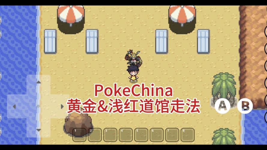 口袋妖怪黑白2吹寄市道馆