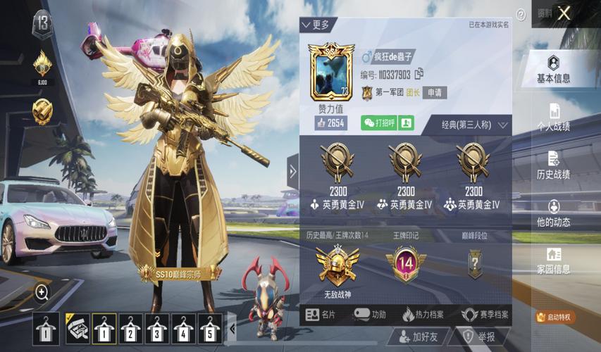 查找吃鸡游戏的兵团