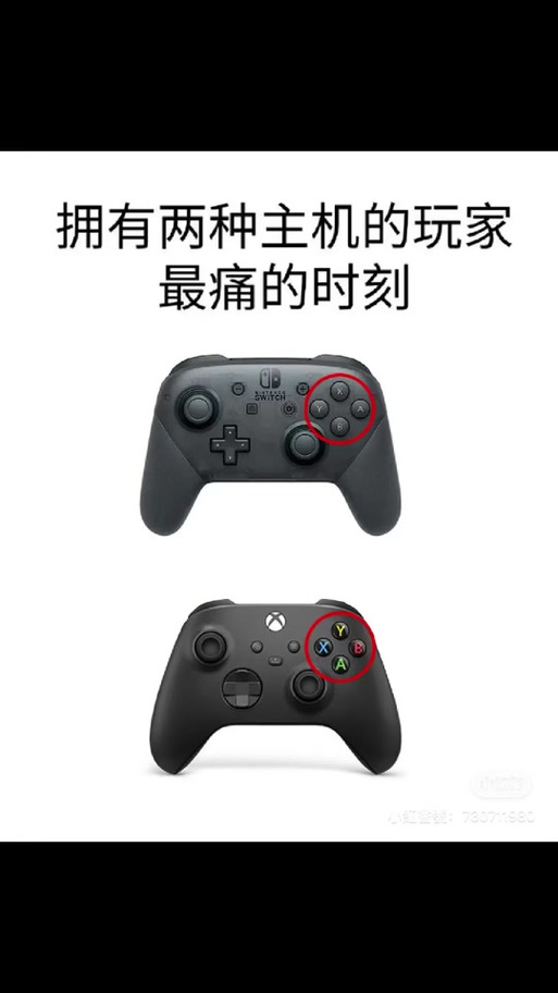 ns手柄与xbox手柄的区别
