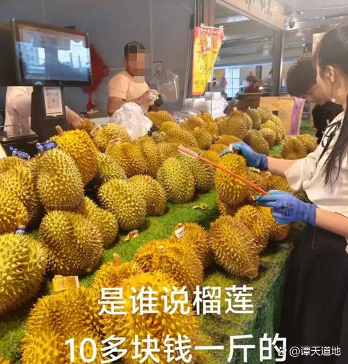 搞批发榴莲的赚钱吗