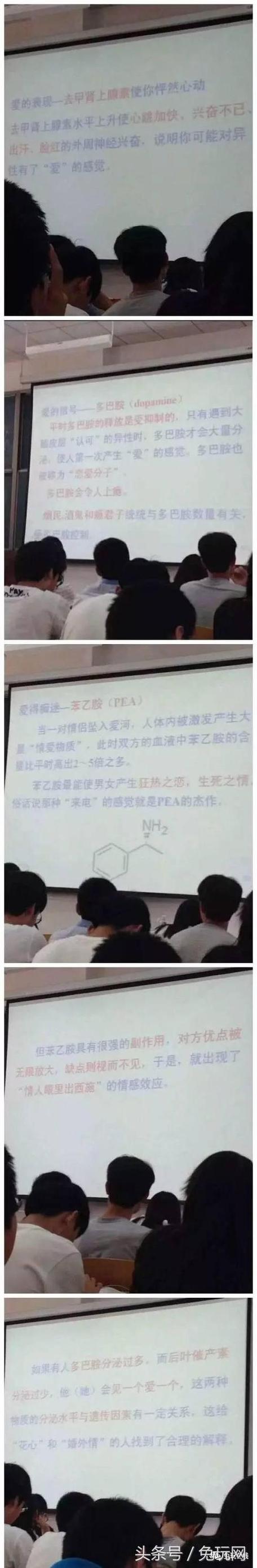 同桌100分网站