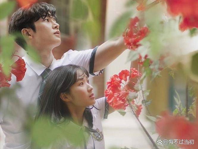 偶然发现的一天中文版