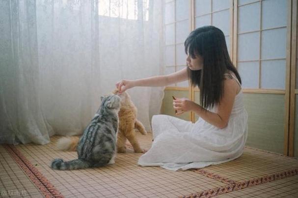 怎么和养猫的妹子聊天