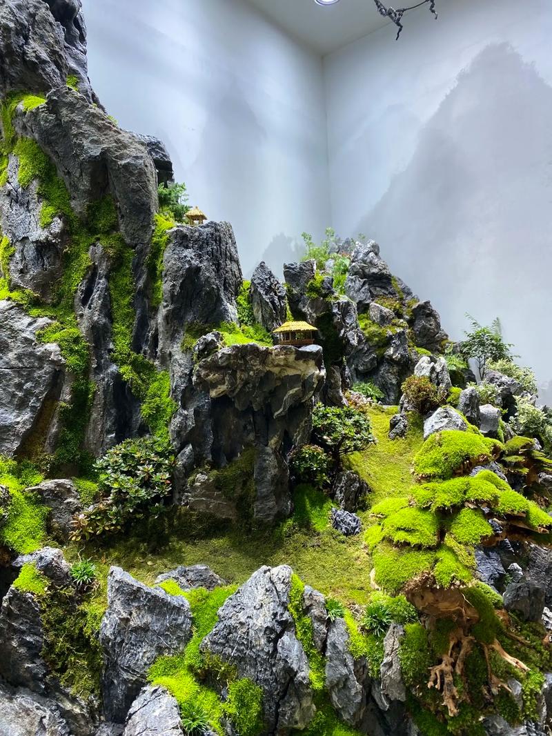 自制水陆缸造景视频