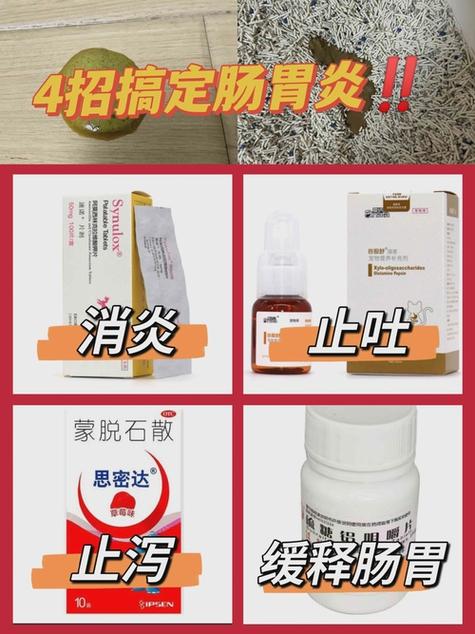 小猫肠胃炎吃什么药最有效图标