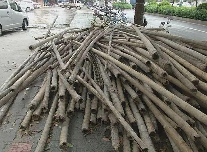 揭阳有没有可以帮人拆竹架的