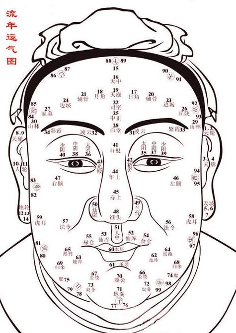 面相分析缩略图