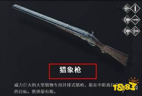 生化危机6猎象枪