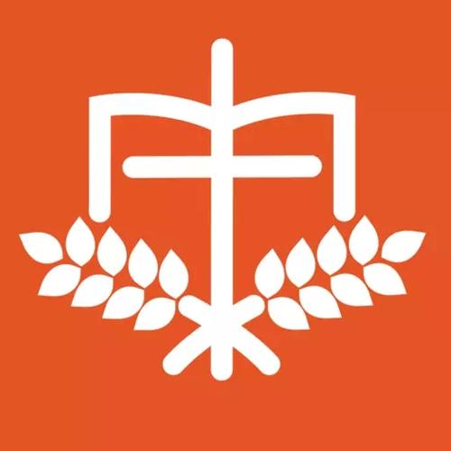 良友圣经学院讲道大全