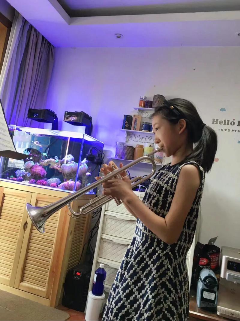 233小号生成器