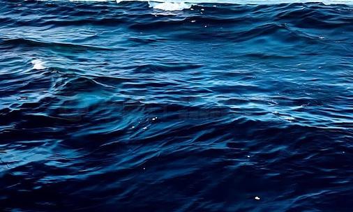 海洋视频素材下载