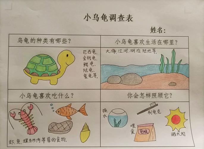 地乌龟图片截图