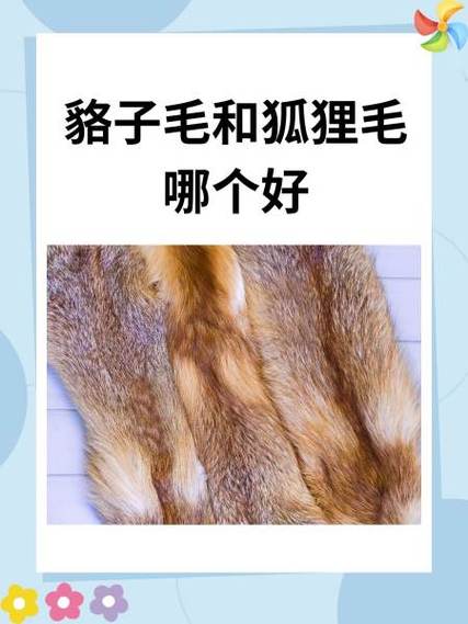 怎么去除狐狸皮草骚味