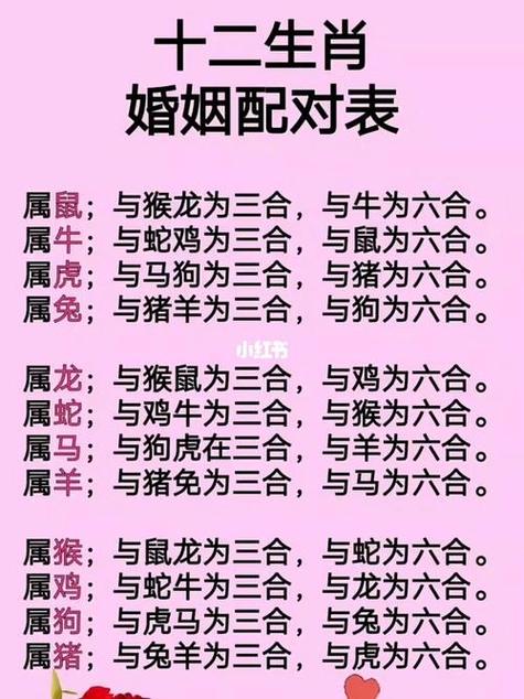 12生肖最佳夫妻配对