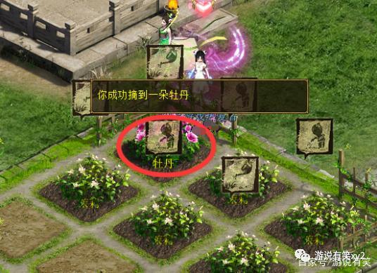 大话2街坊种花赚钱