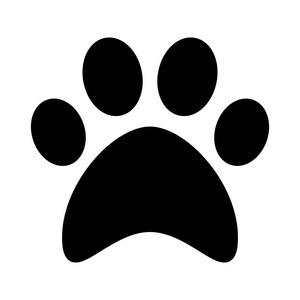 猫爪特殊符号可复制图标