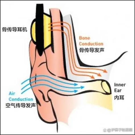 耳机固定夹怎么使用
