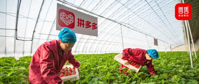 拼多多最新消息