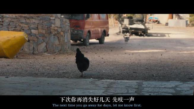 农场母鸡下蛋的电影