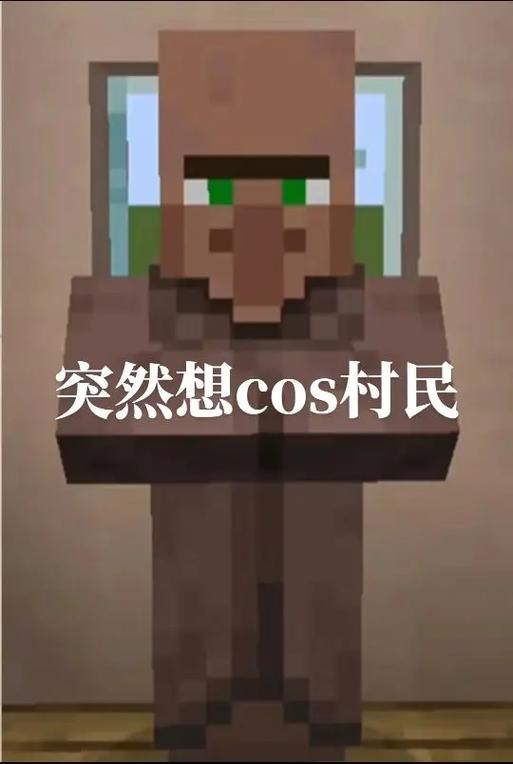 我的世界怎么招募村民