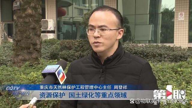 智慧林长缩略图