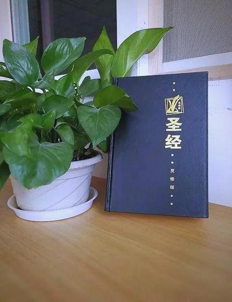 中文灵修版圣经注释
