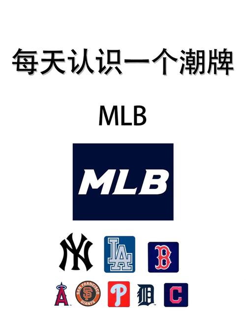 五洋是杂牌子还是名牌游戏截图