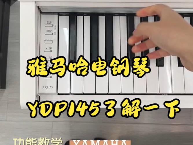 电钢琴键不回弹的原因与处理