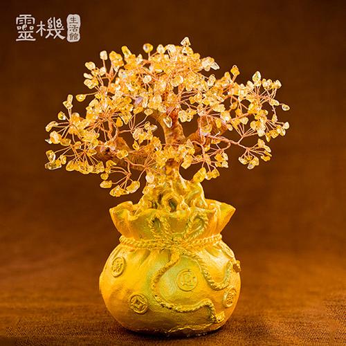 摇钱树种什么赚钱快缩略图