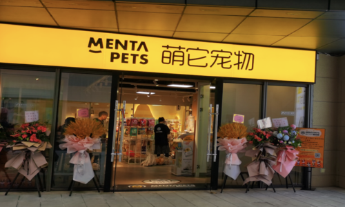 入职女校,开启宠物系统
