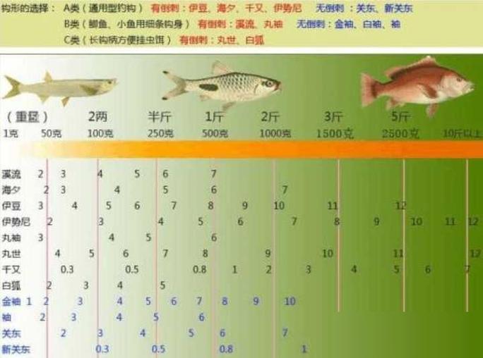 鱼漂尺寸一览表