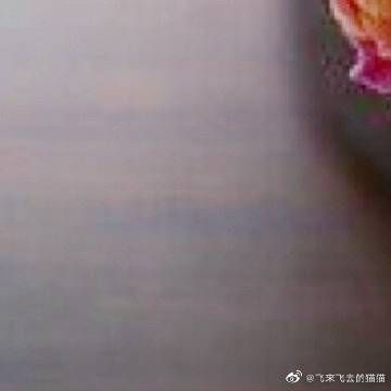 女孩之家贴吧