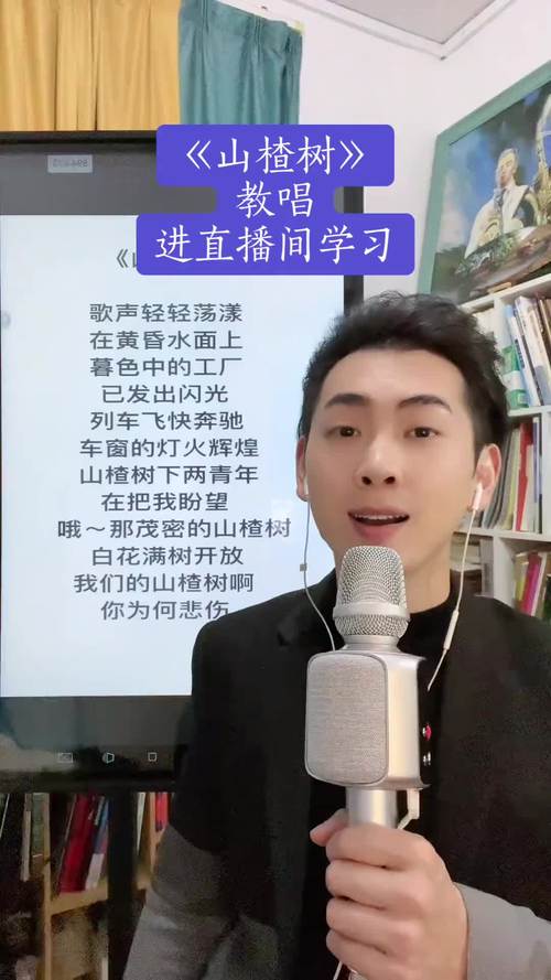 山楂树教唱截图