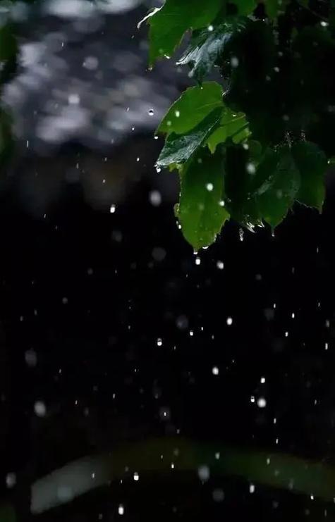 听雨看雨的感受