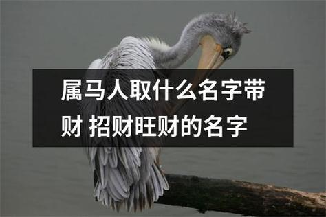 属马什么字带财