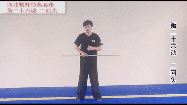 招术是什么意思?