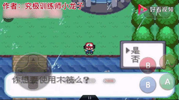 口袋妖怪圣灰汉化版金手指游戏截图