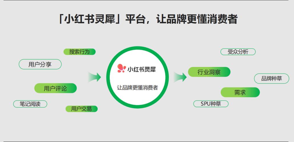 小红书灵犀平台
