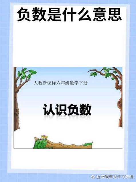 负数的几次幂是负数