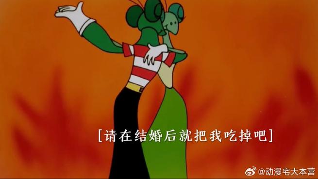 黑猫警长中螳螂夫妻的隐藏真相