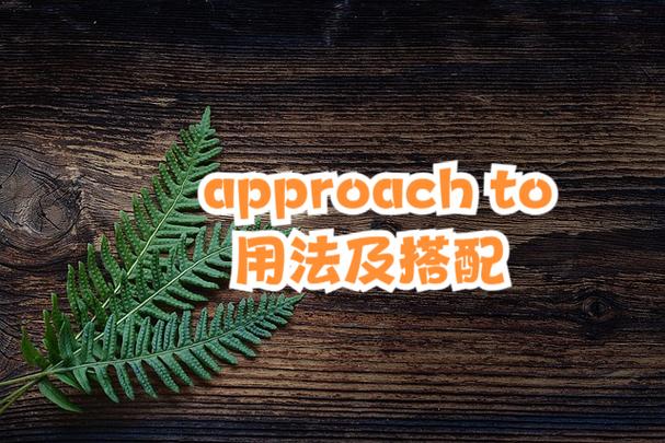 approachto后面接什么