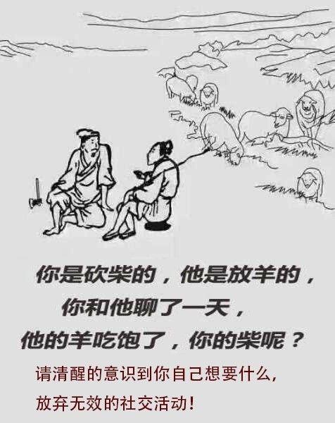 网络语放羊是啥意思缩略图
