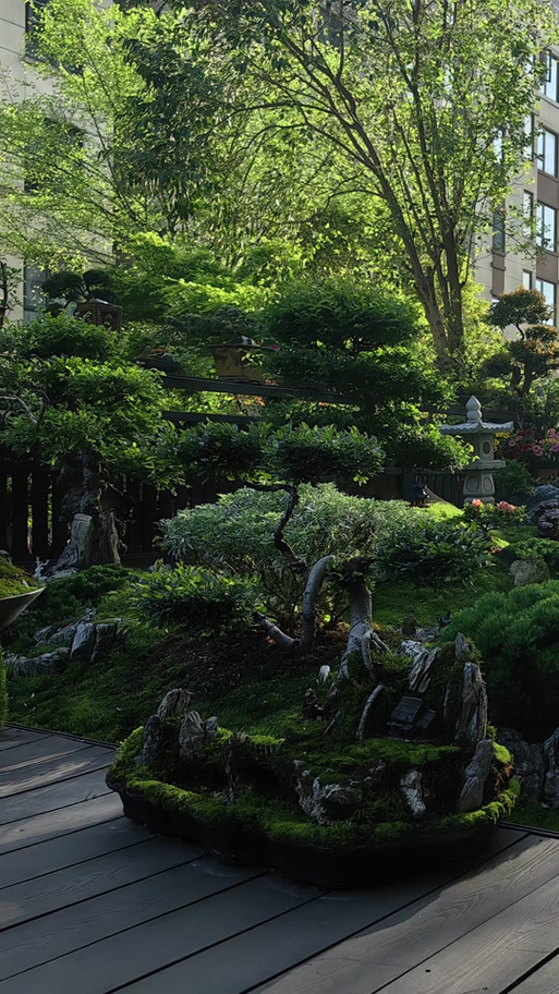 禅境花园隐藏植物