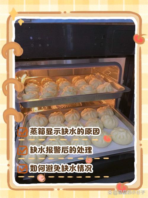 老板电蒸箱s225一直显示缺水