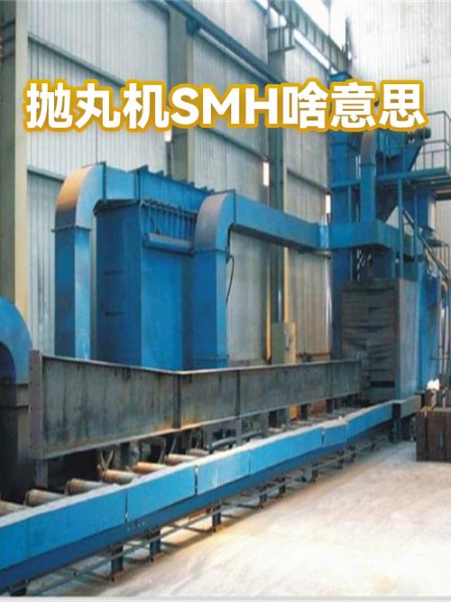 smh是什么意思