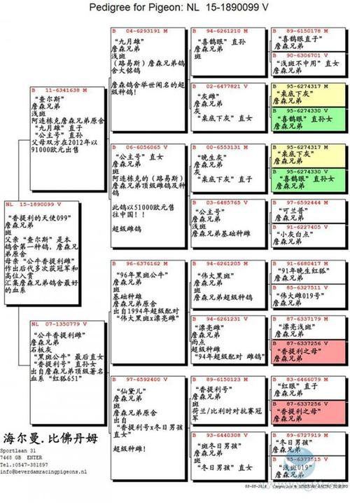 暗黑血统1设置中文游戏截图
